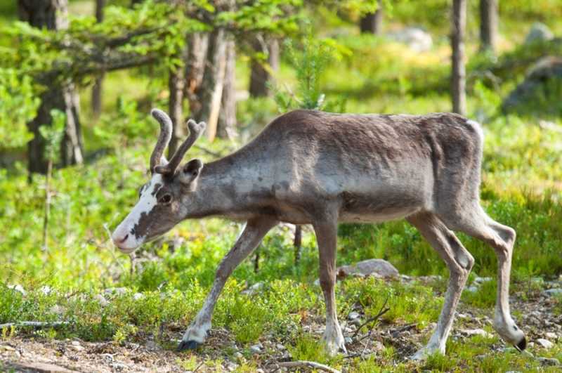 Szlakiem czerwonej drogi